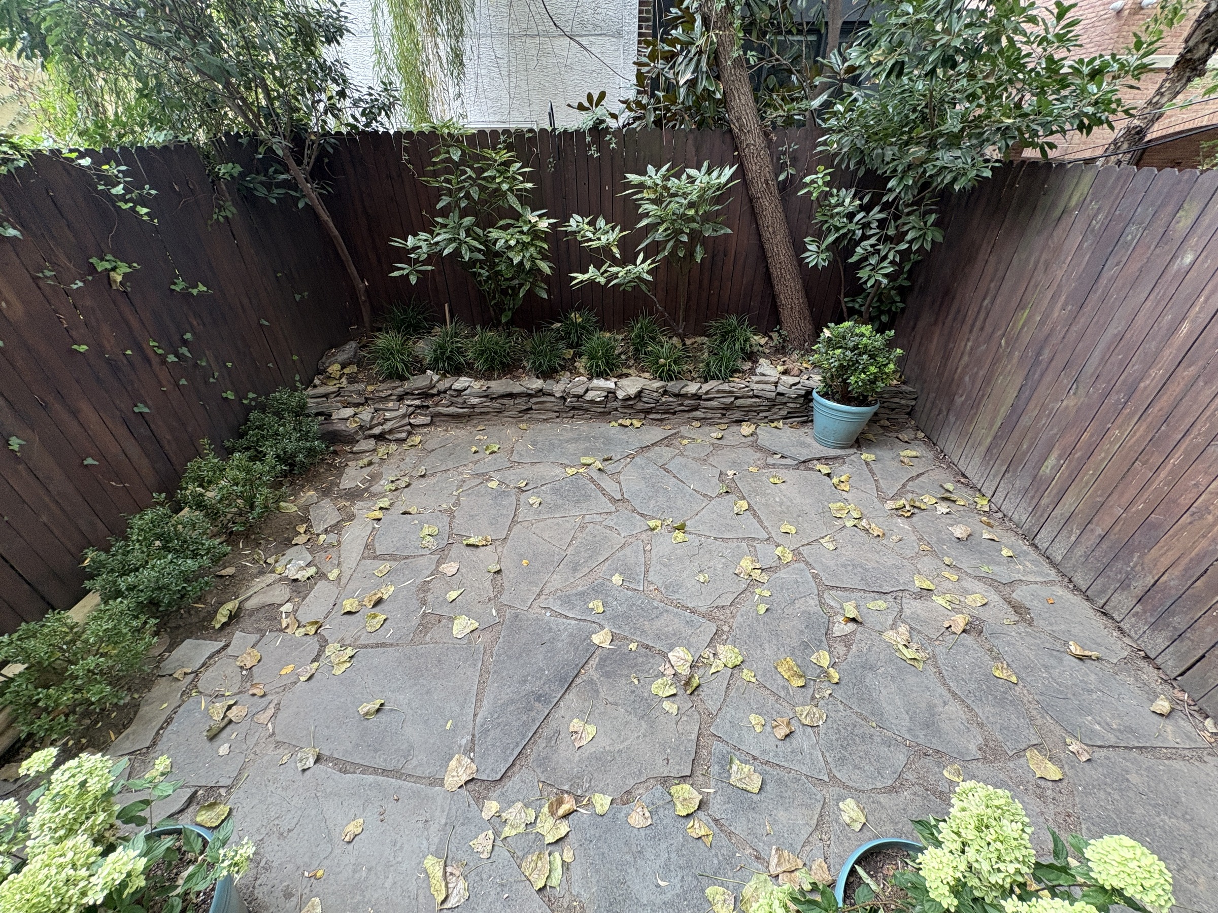 Queen Village backyard in daylight before the ground lighting is switched on
