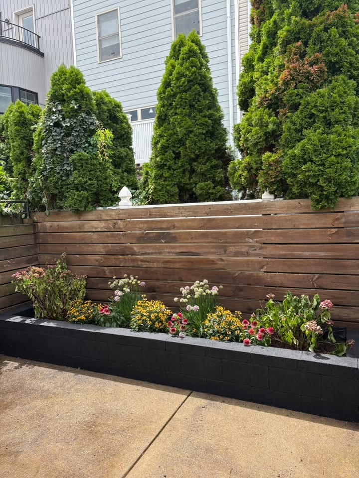 Flower bed and privacy planting completed by O’Brien & Sons in Fishtown